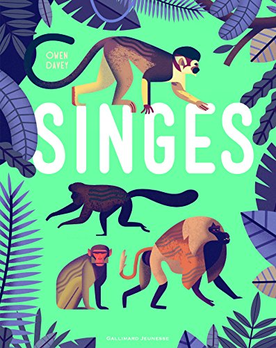 Singes - Album documentaire - De 6 à 9 ans - Owen Davey, Cécile Hermellin