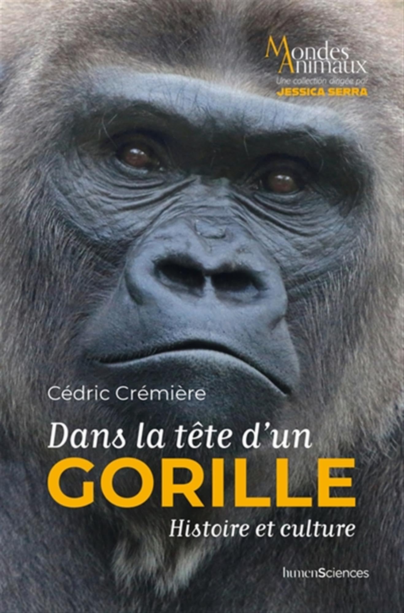 Dans la tête d'un gorille: Histoire et culture
