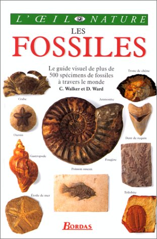 Les Fossiles - Cyril Walker, David Ward, Colin Keates, Patrice Leraut