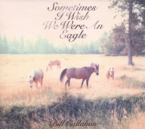 Sometimes I wish we were an eagle - CD