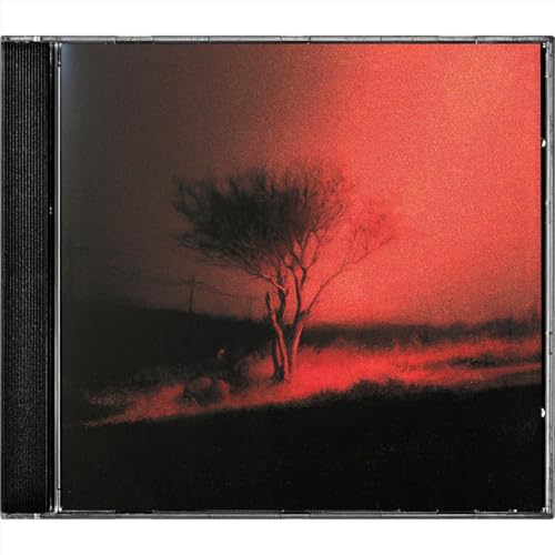 Piss In The Wind - CD