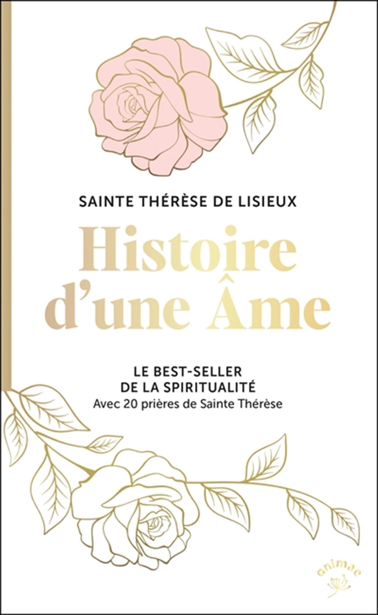 Histoire d'une âme