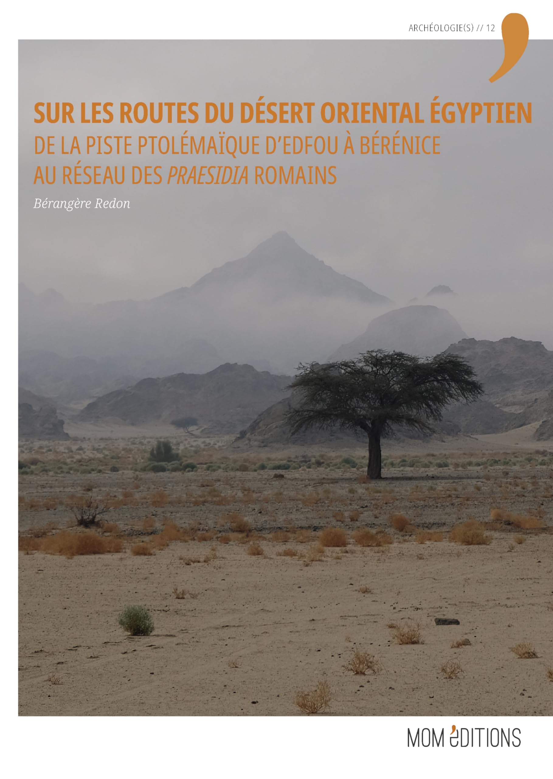 Sur les routes du désert Oriental égyptien: De la piste ptolémaïque d'Edfou à Bérénice au réseau des praesidia romains