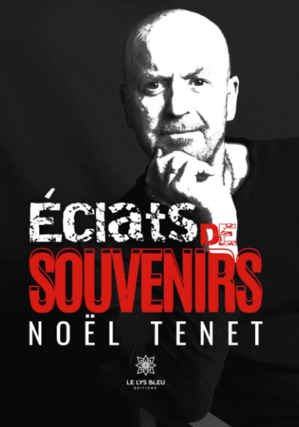Éclats de souvenirs