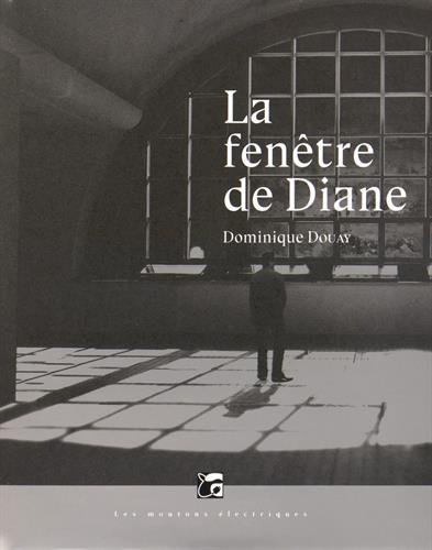 La fenêtre de Diane - Dominique Douay