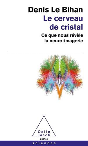 Le cerveau de cristal: ce que nous révèle la neuro-imagerie