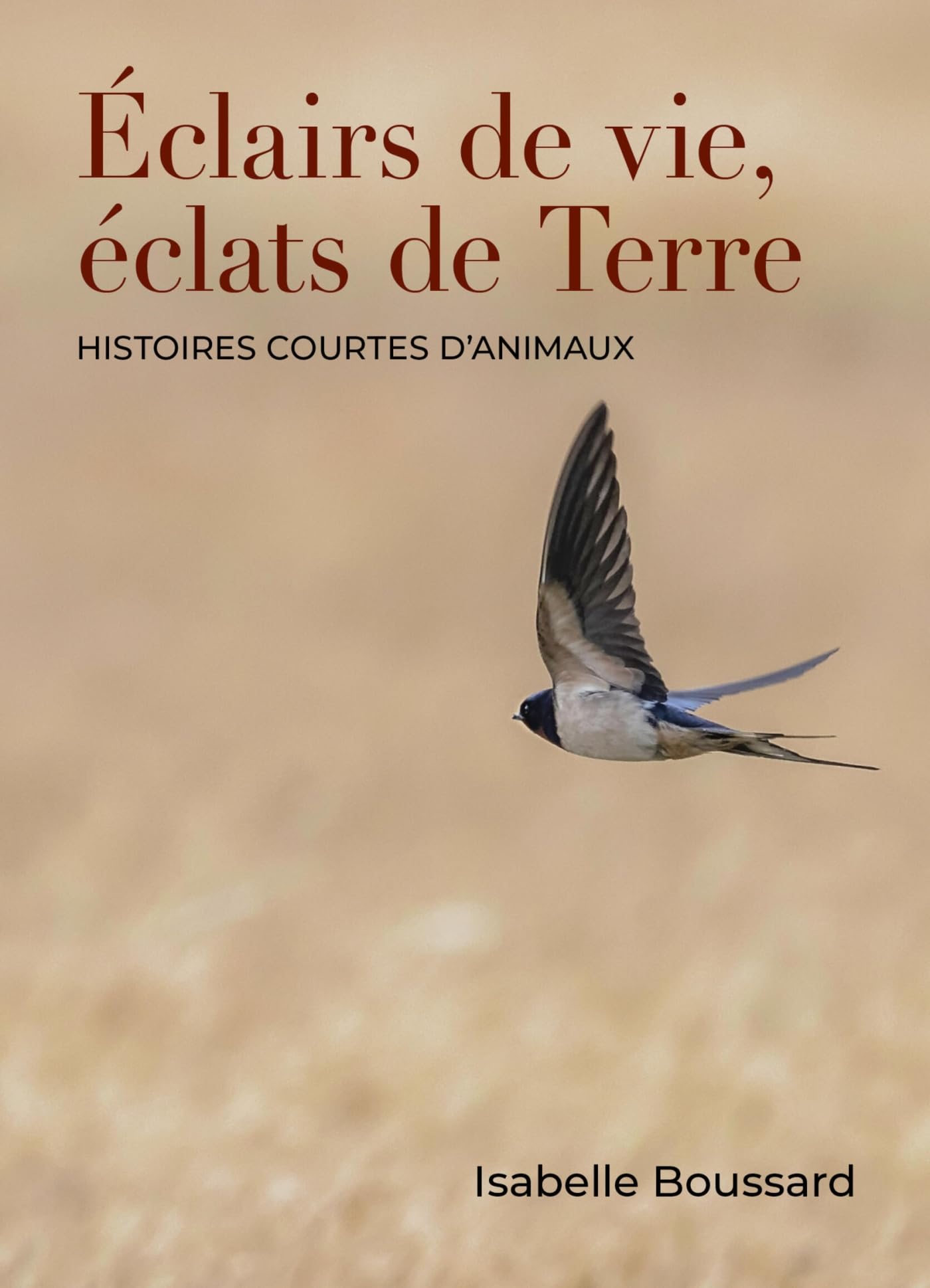 Éclairs de vie, éclats de Terre