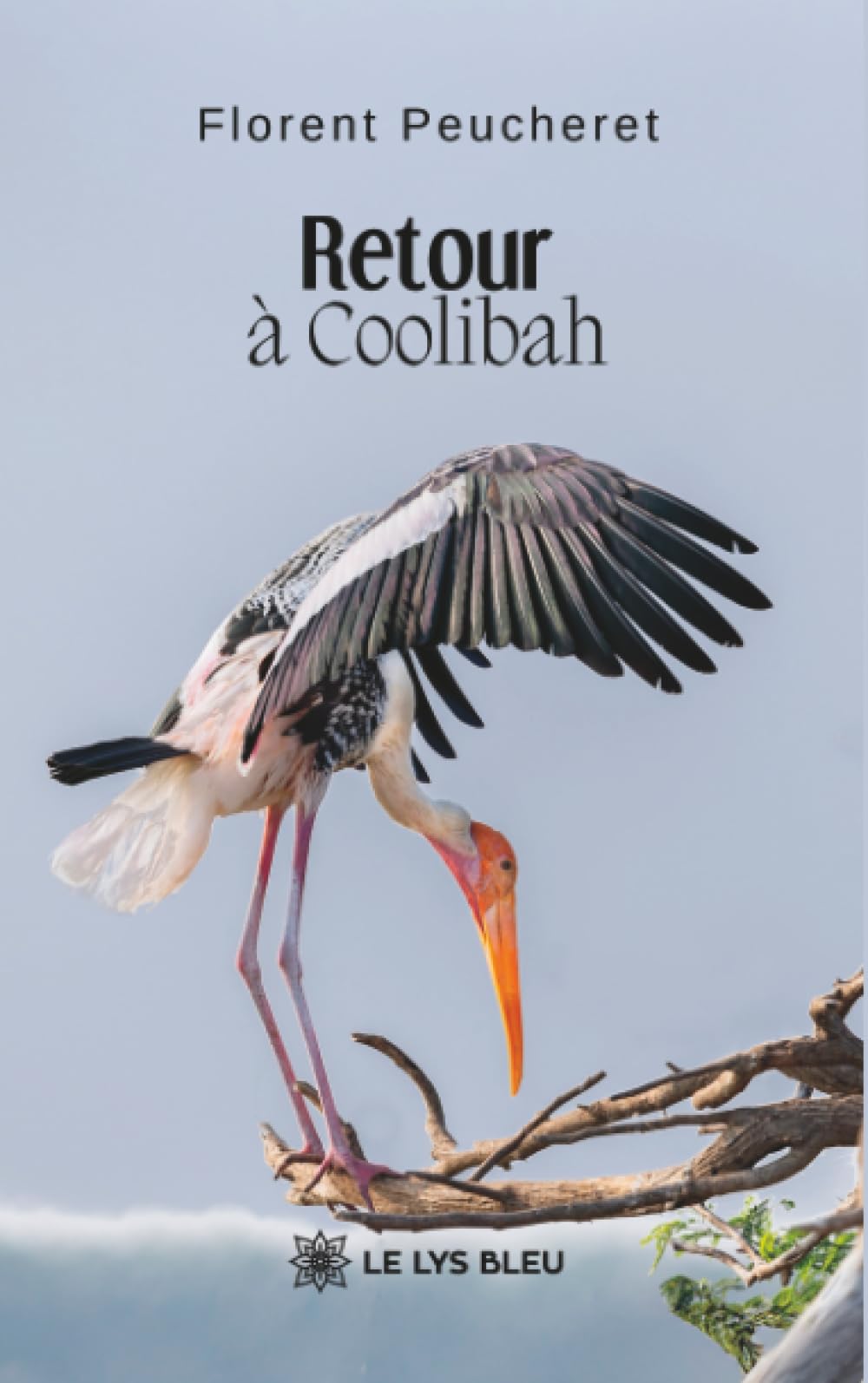 Retour à Coolibah