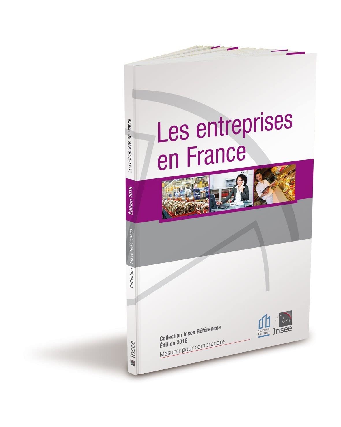 LES ENTREPRISES EN FRANCE 2016