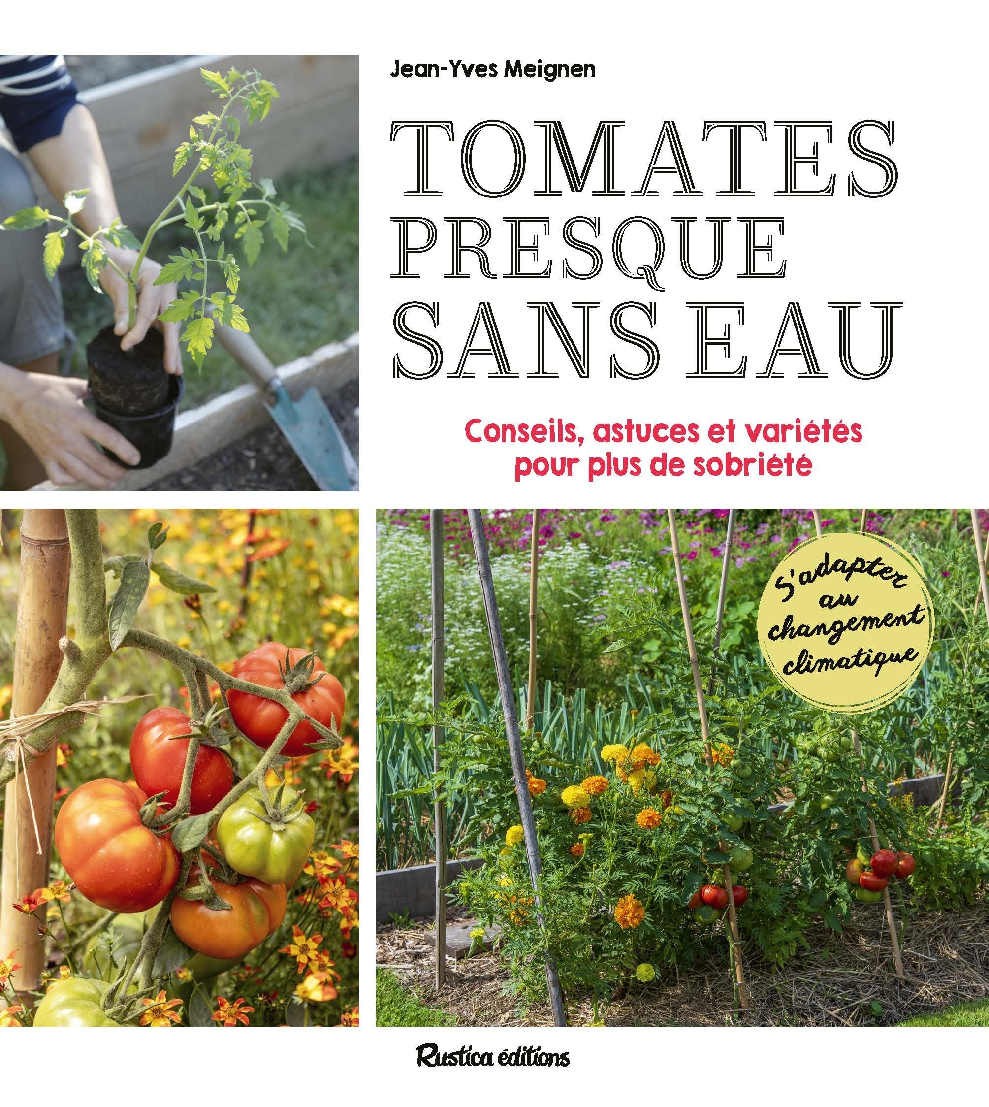 Tomates presque sans eau: conseils, astuces et variétés pour plus de sobriété: s'adapter au changement climatique