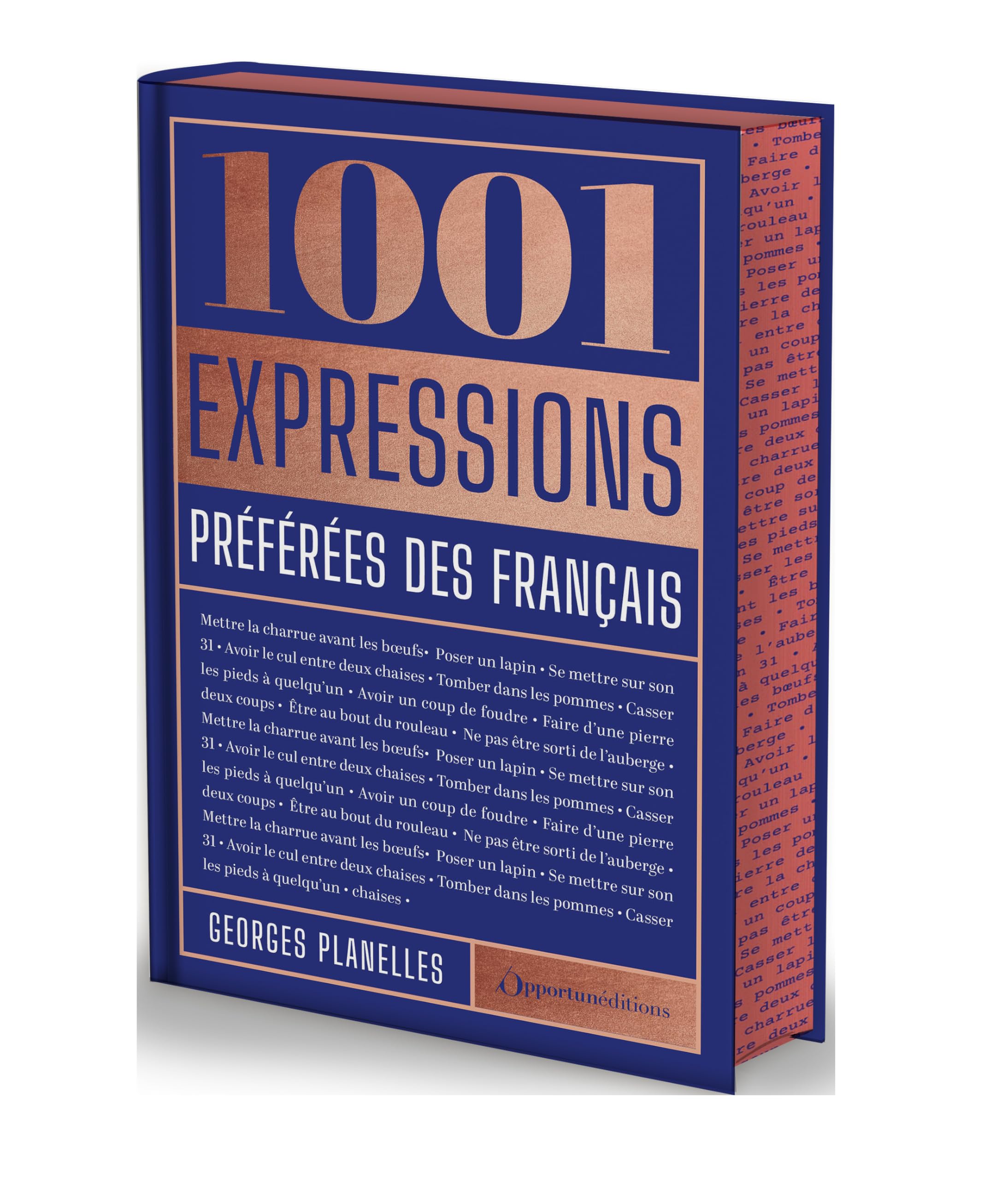 Édition prestige: 1001 expressions préférées des français