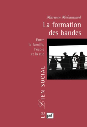 La formation des bandes - entre la famille, l'école et la rue