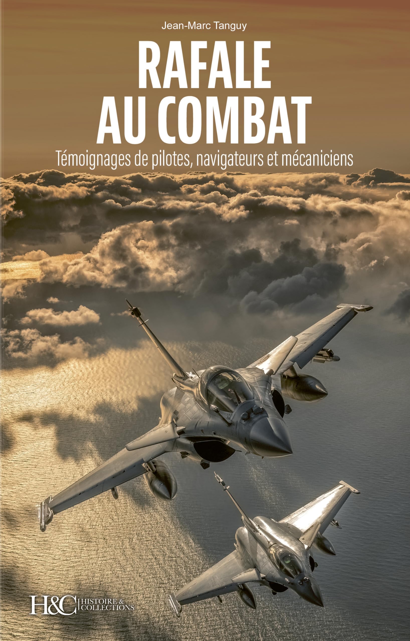 Rafale au combat: témoignages de pilotes, navigateurs et mécaniciens