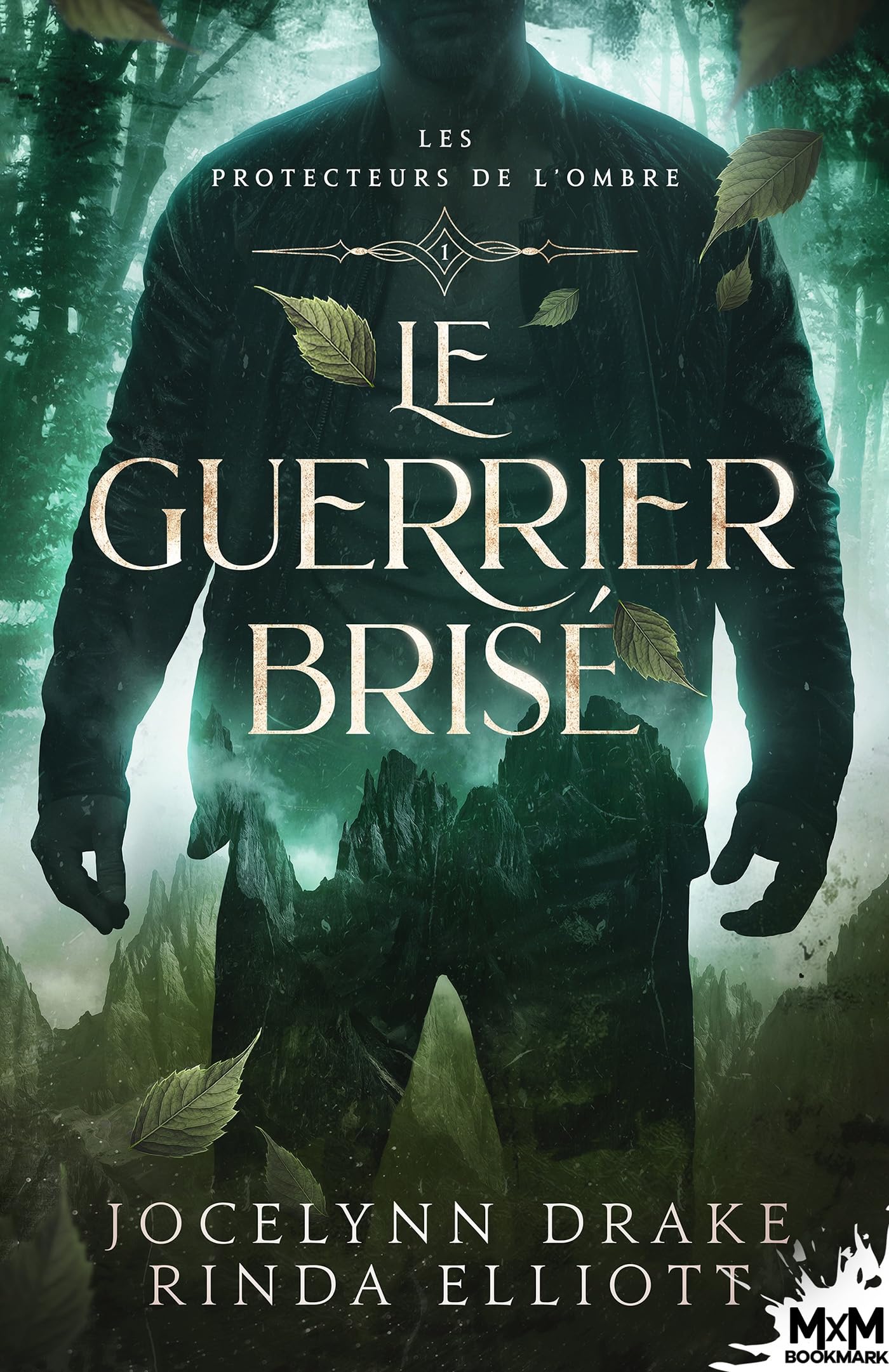 Les protecteurs de l'Ombre Tome 1: Le Guerrier brisé