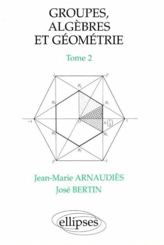 Groupes, algèbres et géométrie - Tome 2