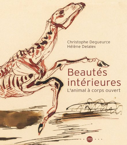 Beautés intérieures - l'animal à corps ouvert