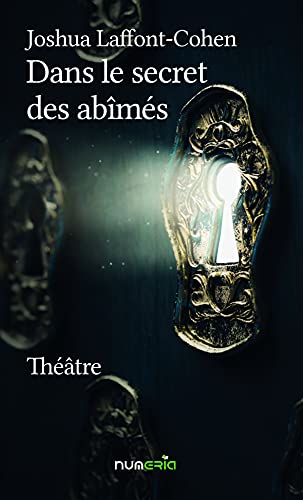 Dans le secret des abîmés
