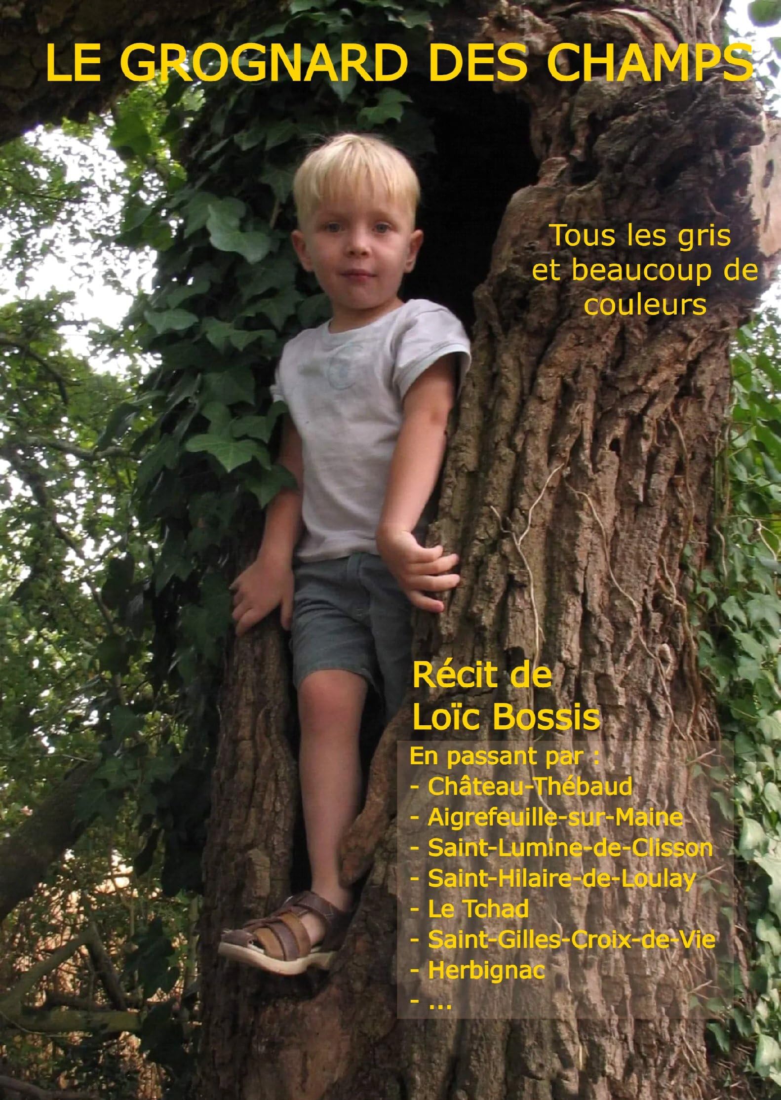 Le grognard des champs: tous les gris et beaucoup de couleurs