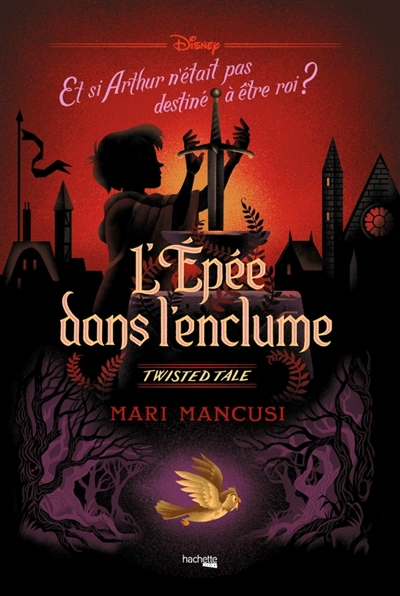 L'épée dans l'enclume: et si Arthur n'était pas destiné à être roi?