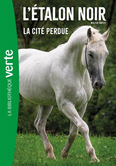 L'Etalon noir (nouvelle édition), Tome 20 - La cité perdue