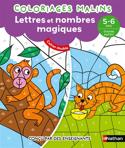 Lettres et nombres magiques, 5-6 ans, grande section: cahier double