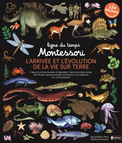 Ligne du temps Montessori: l'arrivée et l'évolution de la vie sur Terre