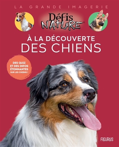 A la découverte des chiens: des quiz et des infos étonnantes sur les chiens!