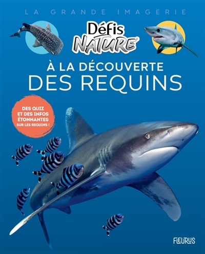 A la découverte des requins: des quiz et des infos étonnantes sur les requins!