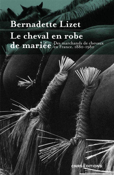 Le cheval en robe de mariée: des marchands de chevaux en France: 1880-1980
