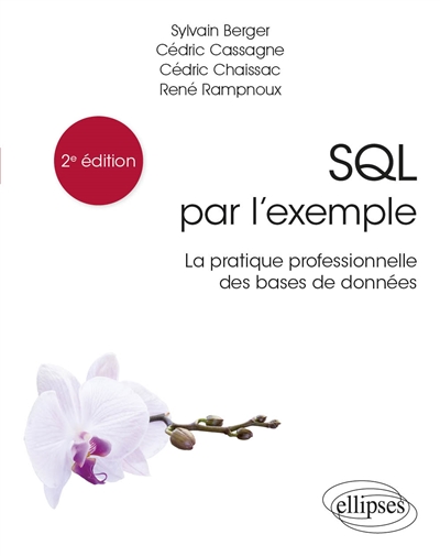 SQL par l'exemple: la pratique professionnelle des bases de données