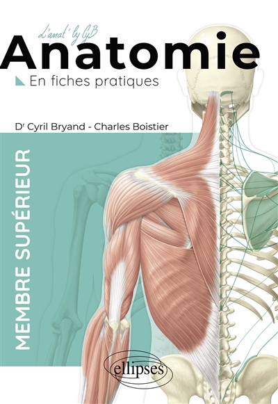 Anatomie: en fiches pratiques. Membre supérieur