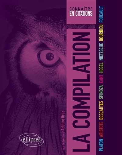 La compilation: Platon, Aristote, Descartes, Spinoza, Kant, Hegel, Nietzsche, Bourdieu, Foucault