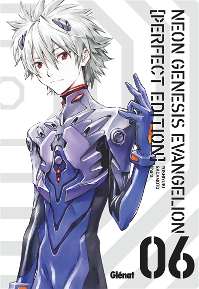 Neon-Genesis Evangelion: perfect edition. Vol. 6
