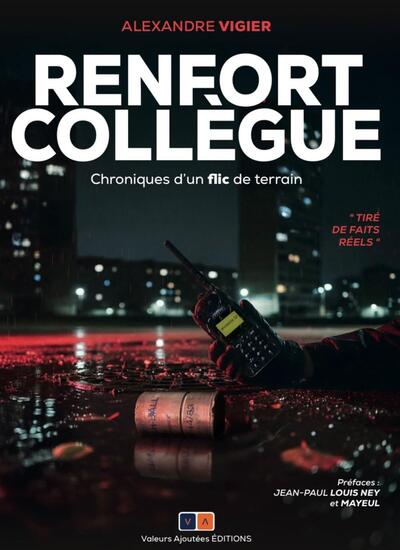 Renfort collègue: chroniques d'un flic de terrain