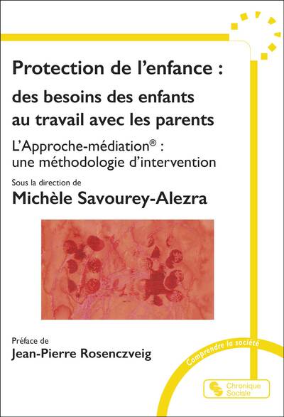 Protection de l'enfance: des besoins des enfants au travail avec les parents - L'Approche-médiation®: une méthodologie d'intervention