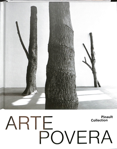 Arte povera - 300 millions d'années