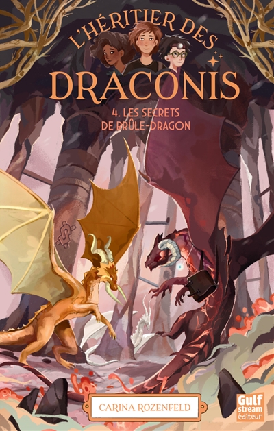 L'Héritier des Draconis - Nouvelle édition - Tome 4 Les Secrets de Brûle-Dragon