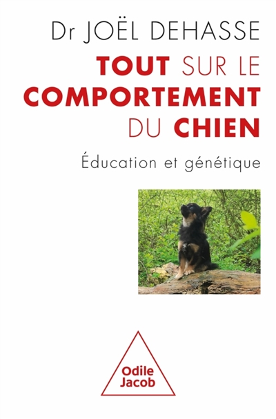 Tout sur le comportement du chien: éducation et génétique