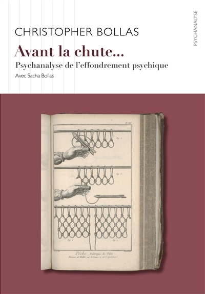 Avant la chute...: psychanalyse de l'effondrement psychique