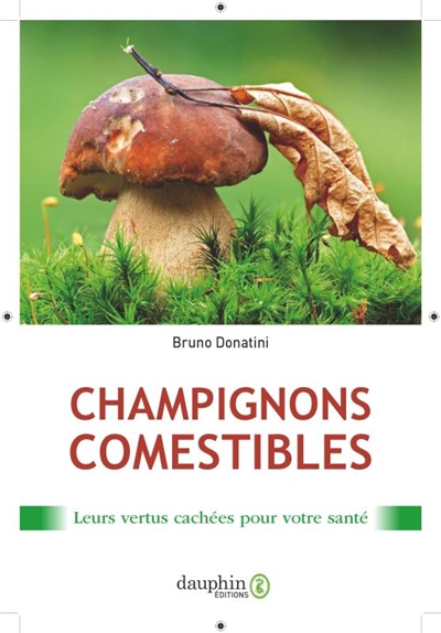 Les champignons comestibles: leurs vertus cachées pour votre santé