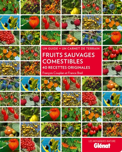 Fruits sauvages comestibles: 40 recettes originales: un guide + un carnet de terrain