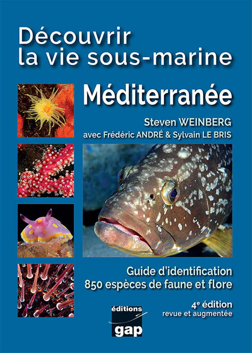 Découvrir la vie sous-marine: Méditerranée: guide d'identification, 850 espèces de faune et flore