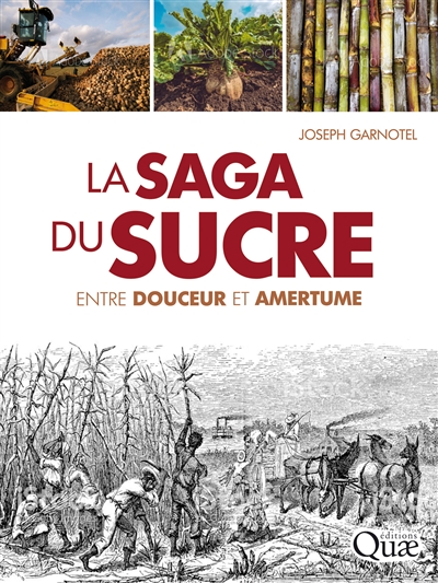 La saga du sucre: entre douceur et amertume