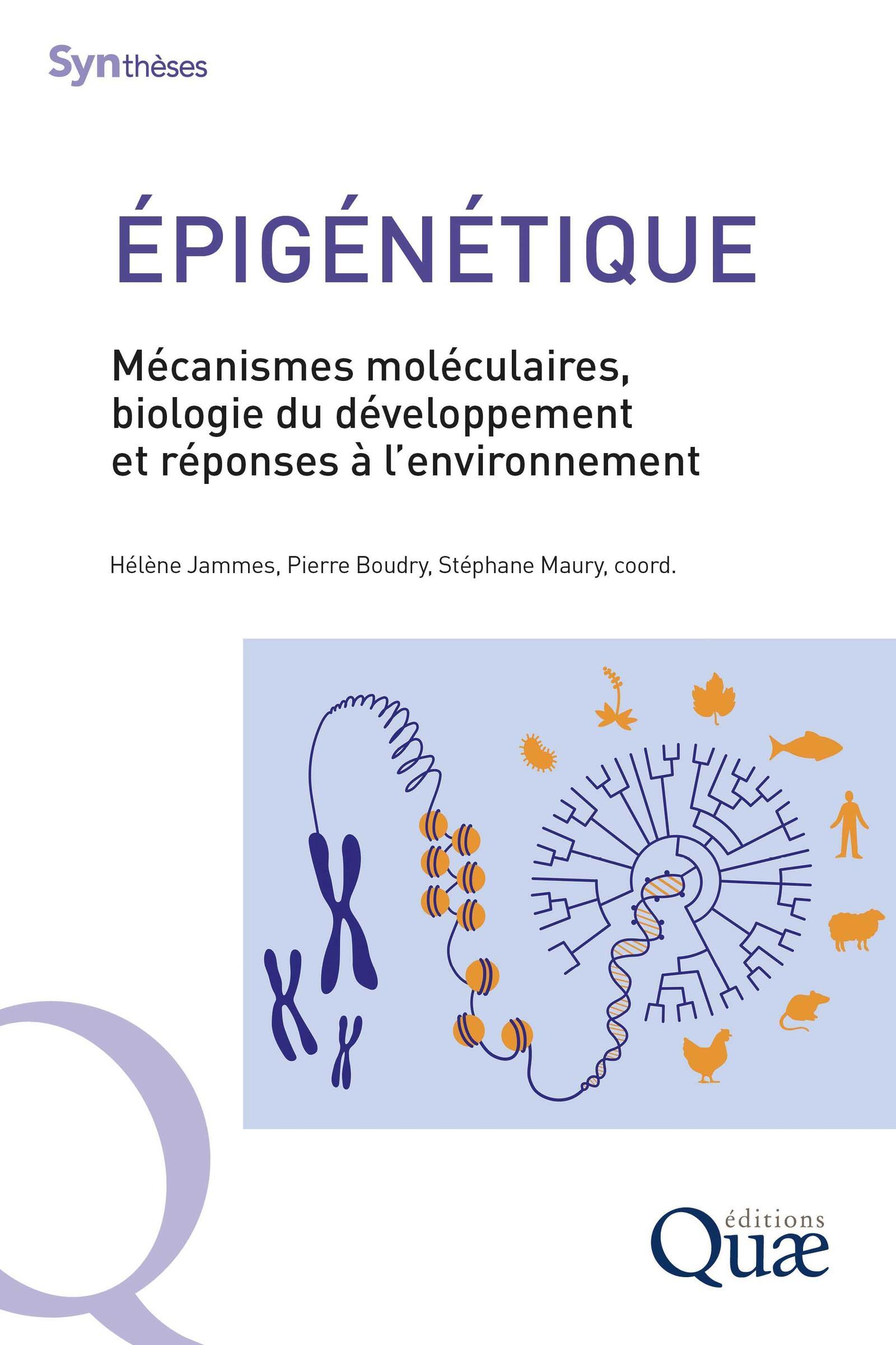 Epigénétique: mécanismes moléculaires, biologie du développement et réponses à l'environnement