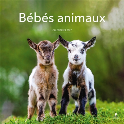 Calendrier 2027 Bébés animaux