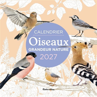 Oiseaux grandeur nature: calendrier 2027