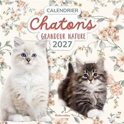 Chatons grandeur nature: calendrier 2027