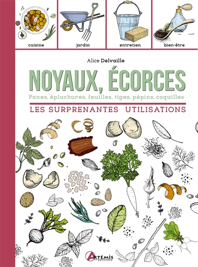 Noyaux, écorces, fanes, épluchures, feuilles, tiges, pépins, coquilles: les surprenantes utilisations