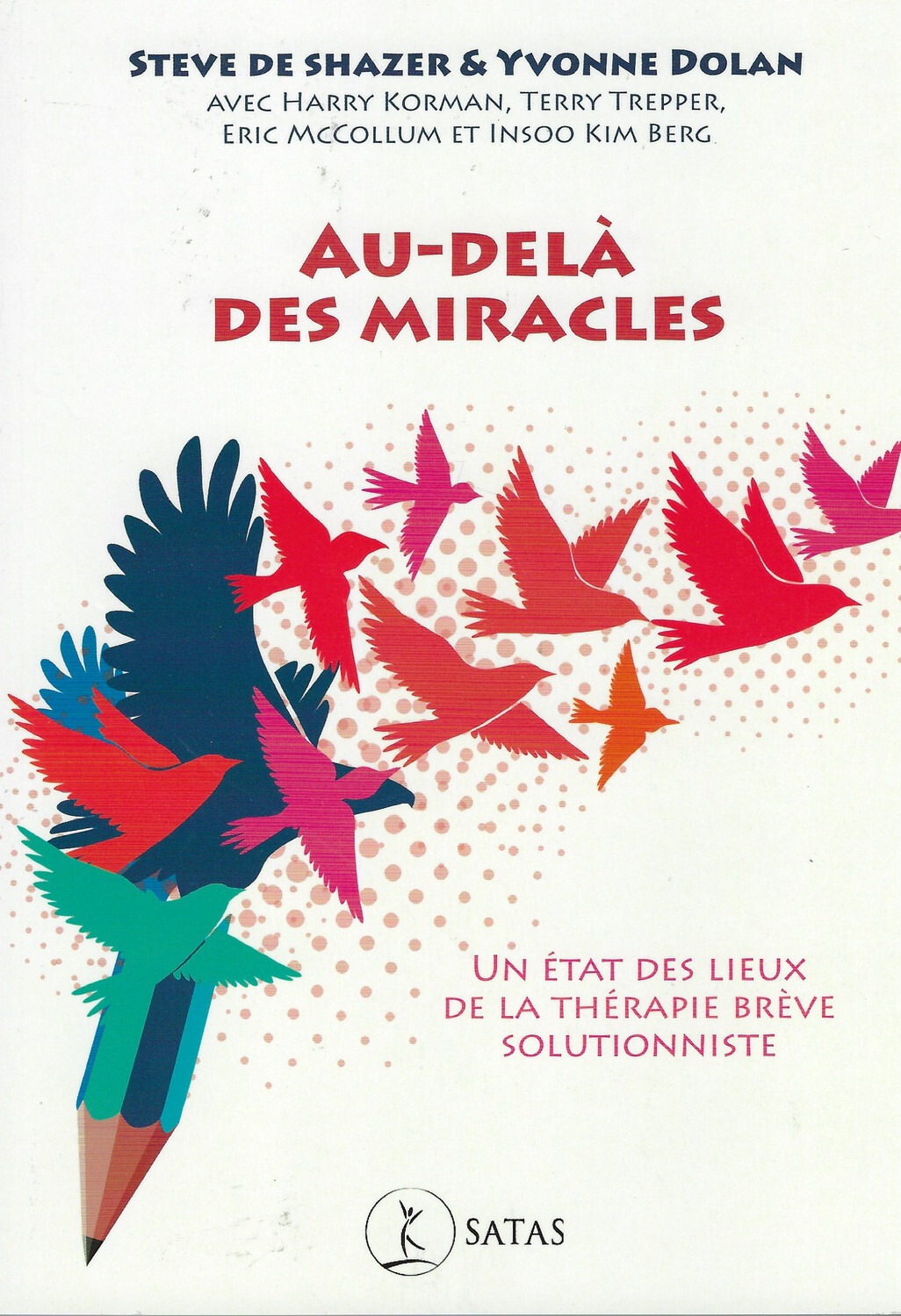Au-delà des miracles - Un état des lieux de la thérapie brève solutionniste