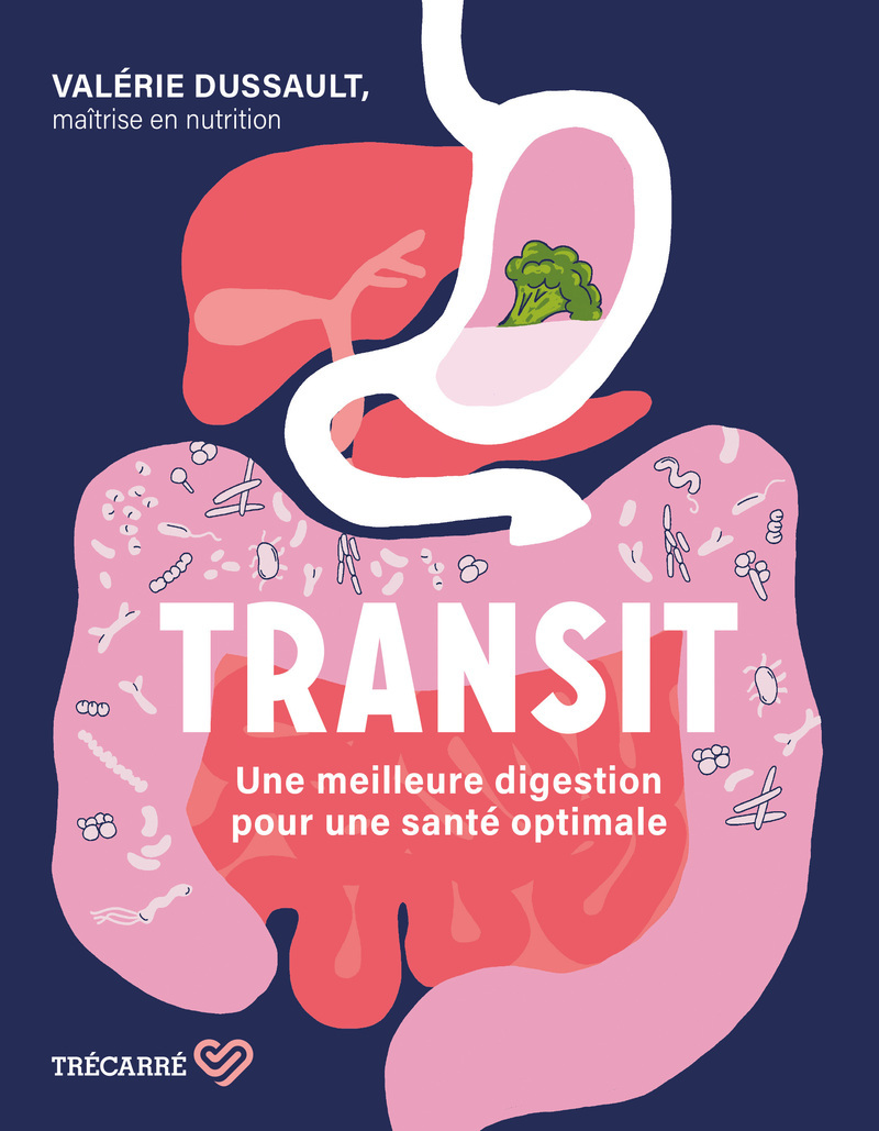 Transit: Une meilleure digestion pour une santé optimale
